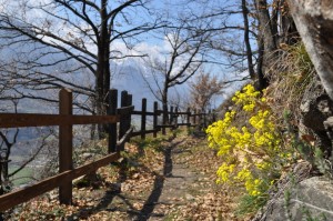 Un tratto della Via Francigena nella valle centrale della Valle d'Aosta