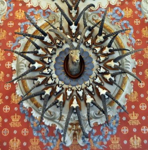 decorazione nella sala delle corna, castello di Sarre