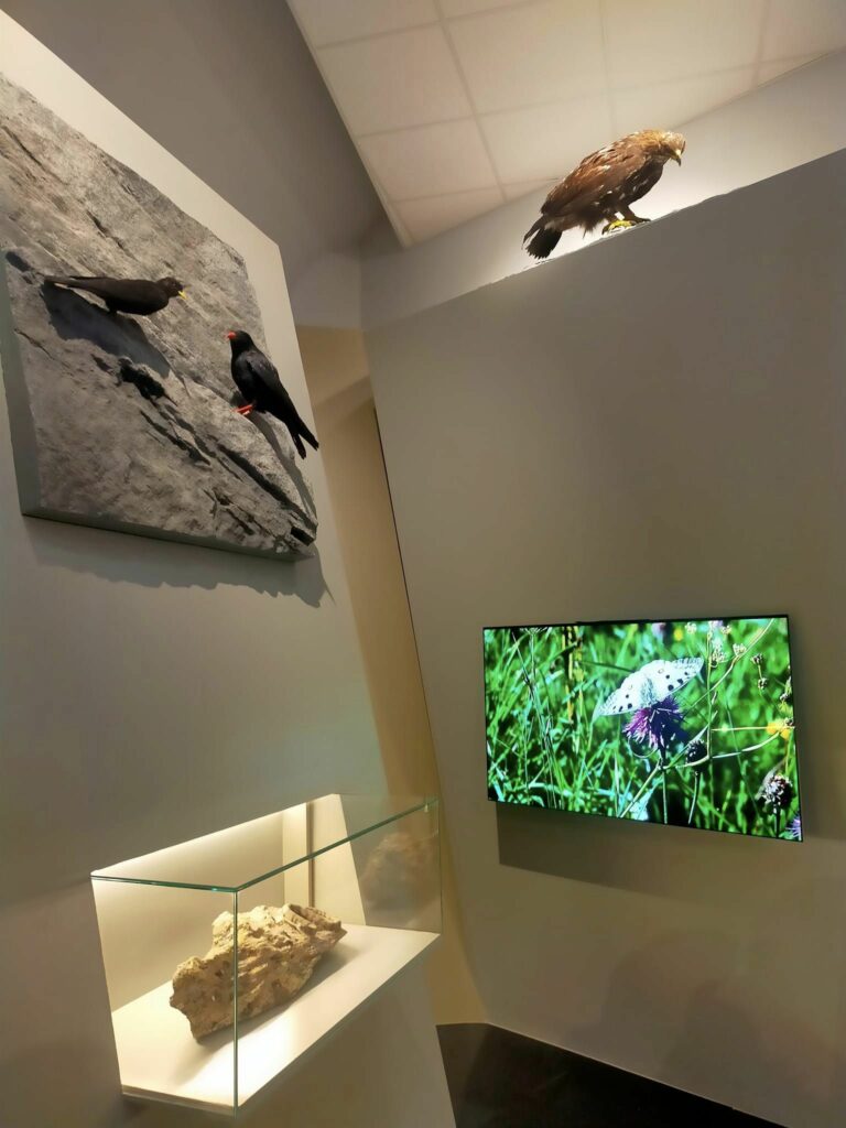 Museo di Scienze naturali - Valle d'Aosta - Saint-Pierre